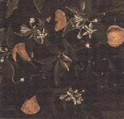 Sandro Botticelli Details of Primavera (mk36) china oil painting artist